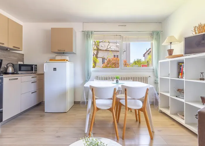 Appart Cosy Annecy Parking Et Velos Gratuit